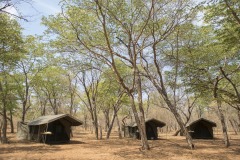 Chobe-17-8128