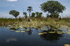 Okavango-06-8519