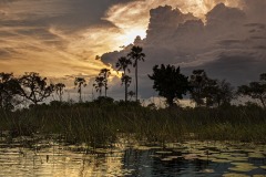 Okavango-06-8603