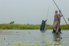 Okavango-Delta-Camp-08-6996