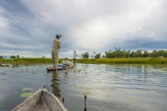 Okavango-Delta-Camp-08-7103