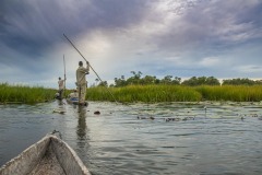 Okavango-Delta-Camp-08-7107