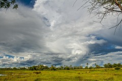 Okavango-Delta-Camp-08-7382