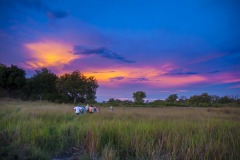 Okavango-Delta-Camp-08-7531