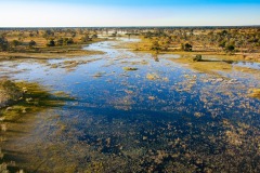 Okavango-PomPom-13-0164