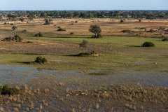 Okavango-PomPom-13-0428