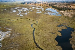 Okavango-PomPom-13-3657