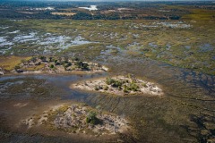 Okavango-PomPom-13-3661