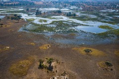 Okavango-PomPom-13-3678