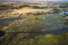 Okavango-PomPom-13-3719