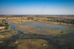 Okavango-PomPom-13-3729