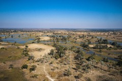 Okavango-PomPom-13-3736