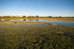 Okavango-PomPom-13-5447