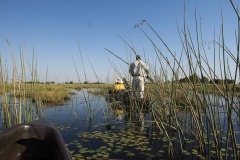 Okavango-Shinde-14-5694