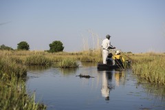 Okavango-Shinde-14-5718