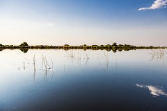 Okavango-Shinde-14-5988